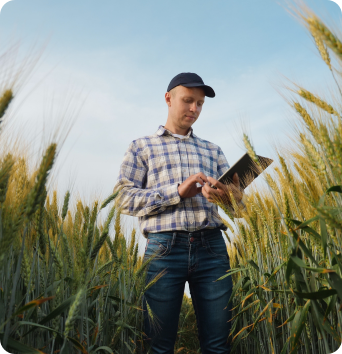 Mann steht auf einem Feld und nutzt ein Tablet